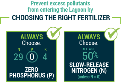 Prevent excess pollutants from entering the lagoon by choosing fertilizer with 0 Phosphorus and > 50% slow-release nitrogen.