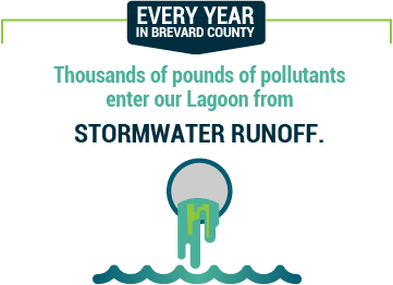 Thousands of pounds of pollutants enter our lagoon from stormwater runoff.