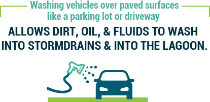 Washing vehicles over paved surfaceslike a parking lot or driveway allows dirt, oil, & fluids to wash into stormdrains & into the lagoon.