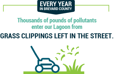 Every year, thousands of pounds of pollutants enter our lagoon from grass clippings left in the street.