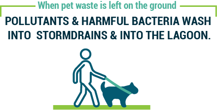When pet waste is left on the ground, pollutants & harmful bacteria wash into stormdrains & into the lagoon.