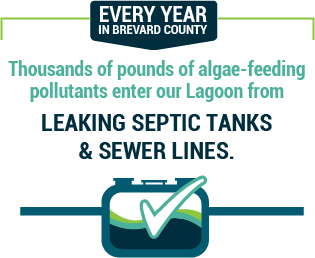 Thousands of pounds of algae-feeding pollutants enter our Lagoon from leaking septic tanks & sewer lines.