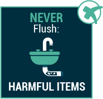 never flush harmful items