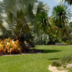 reduce turf with native landscaping