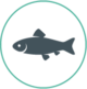 Action Complete - ORCA’s One Health Fish Monitoring Project