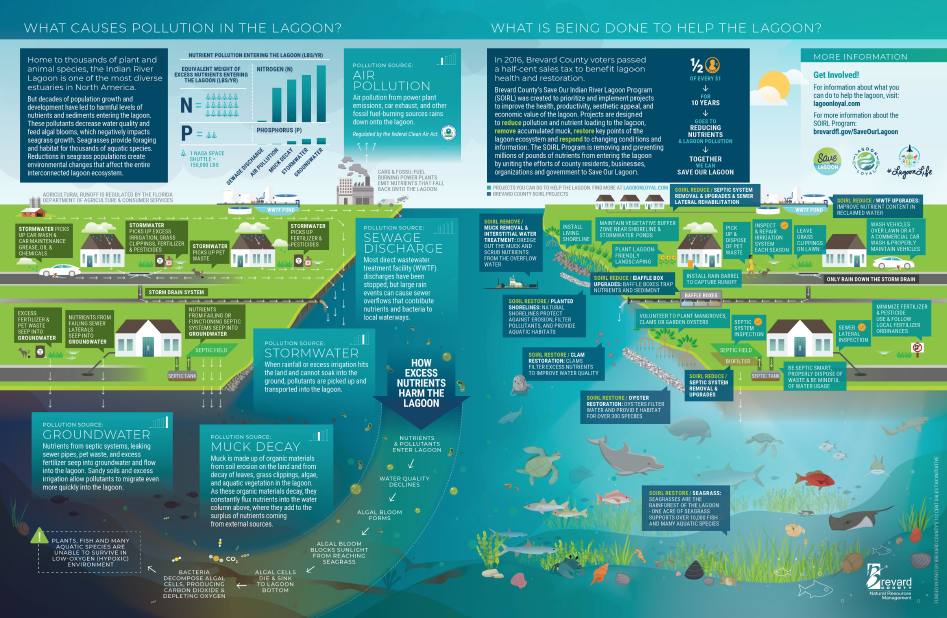 lagoon pollution sources and project graphic