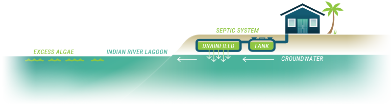Septic system diagram showing septic tank with access lids and septic drainfield